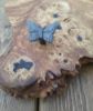 Picture of Oak Burr Coat hook - Butterfly